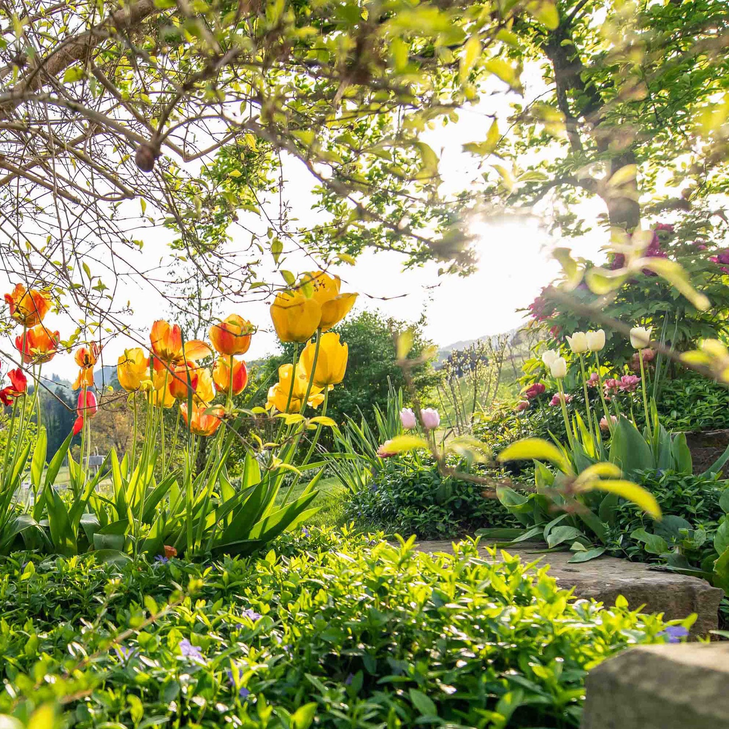 Garten im Frühling